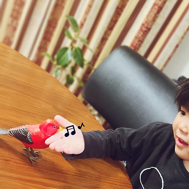 r0siereさんの実例写真