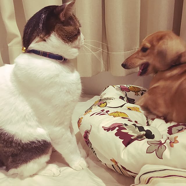 mariaさんの実例写真