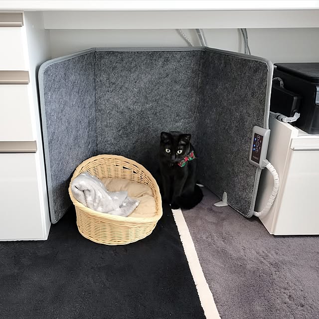 sakuraさんの部屋