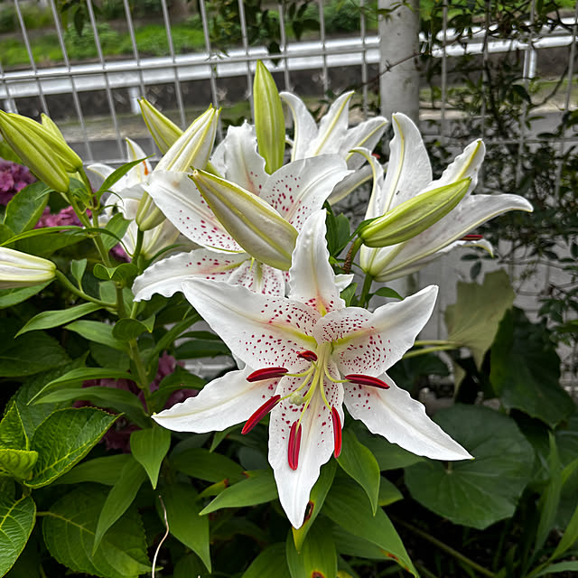 chIoeさんの部屋