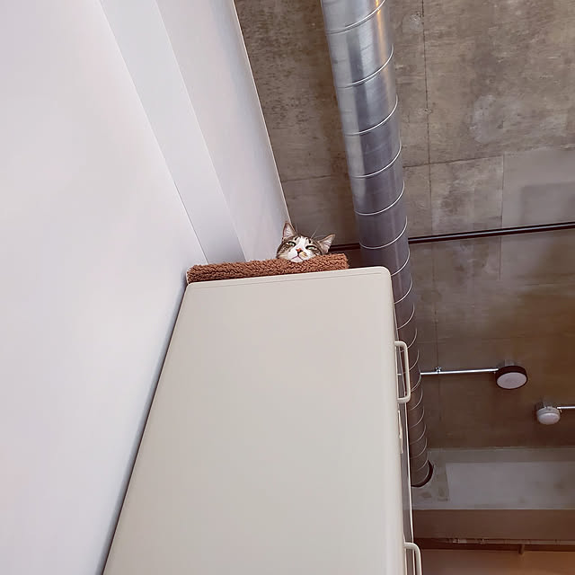 jinroさんの実例写真