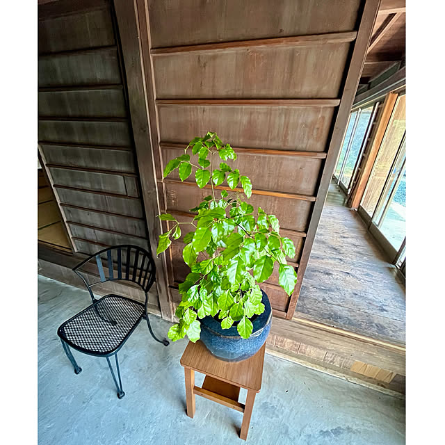 cotaさんの部屋