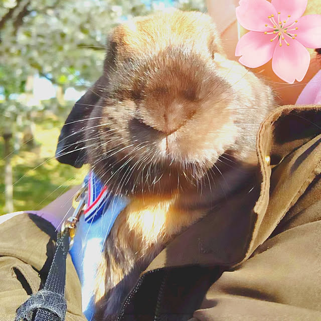 mariaさんの実例写真