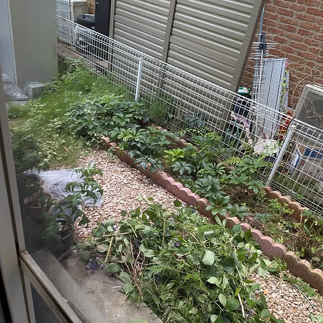 chi_gogaさんの部屋