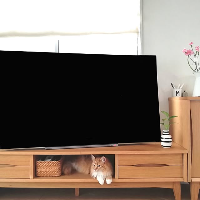 pinokoさんの実例写真