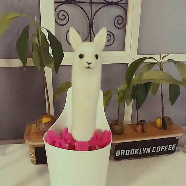 jankenkenさんの実例写真