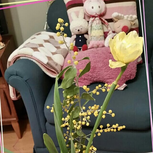 Yumiさんの実例写真