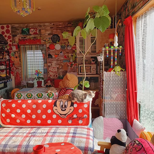 kumutanさんの実例写真