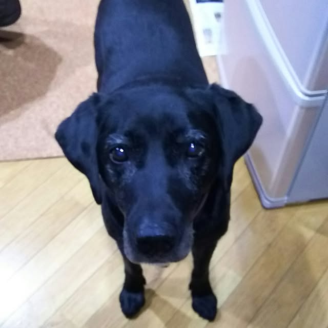 ohisamaさんの実例写真