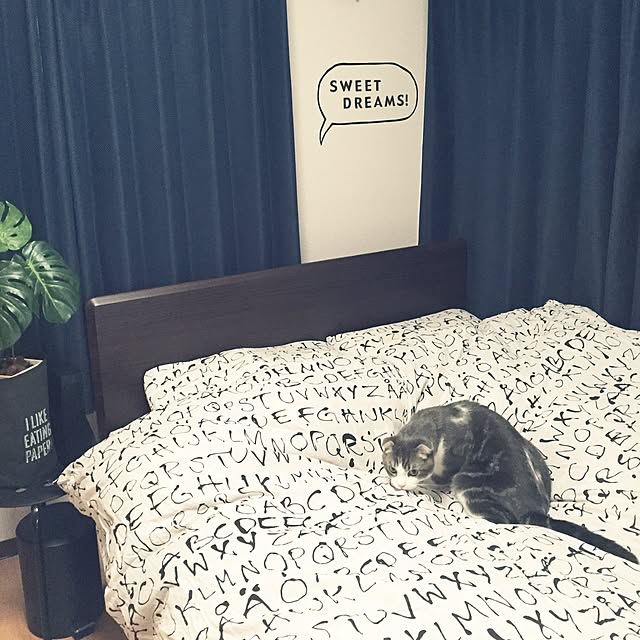 tansukeさんの実例写真