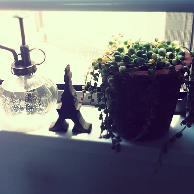 棚/観葉植物/雑貨のインテリア実例 - 2014-06-01 23:54:02