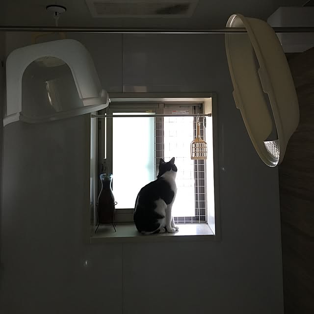 mikomaruさんの実例写真