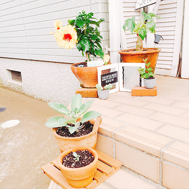 makopyzさんの実例写真