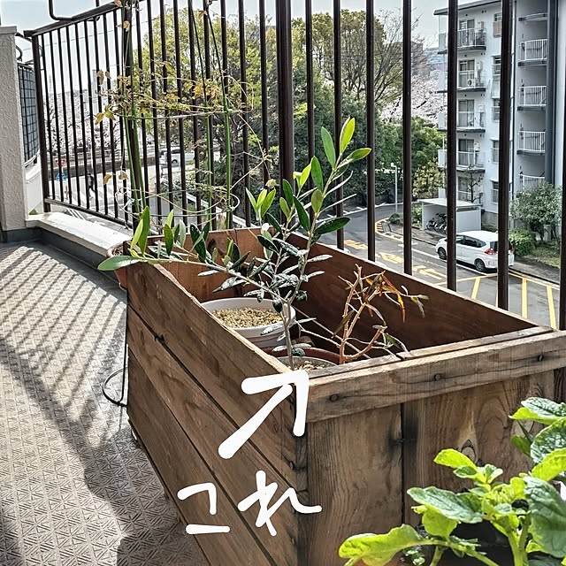 mi-saさんの部屋