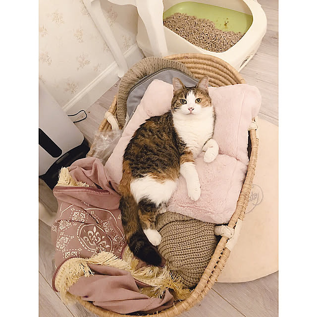 akirisさんの実例写真
