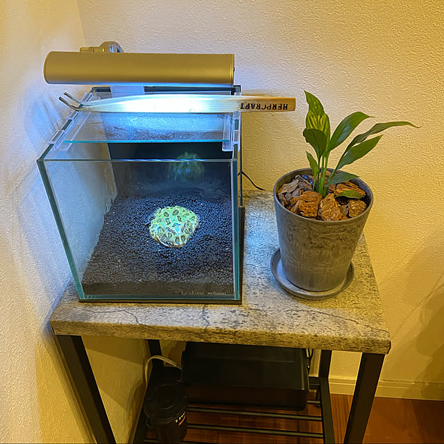 gonzo___jpさんの実例写真