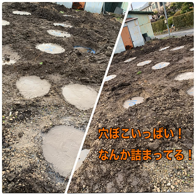 mowchanさんの実例写真