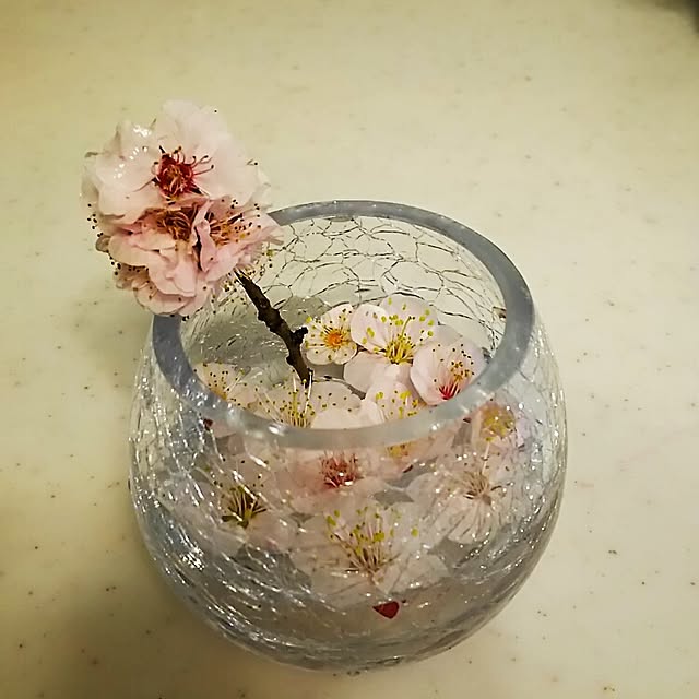 Sayuriさんの実例写真