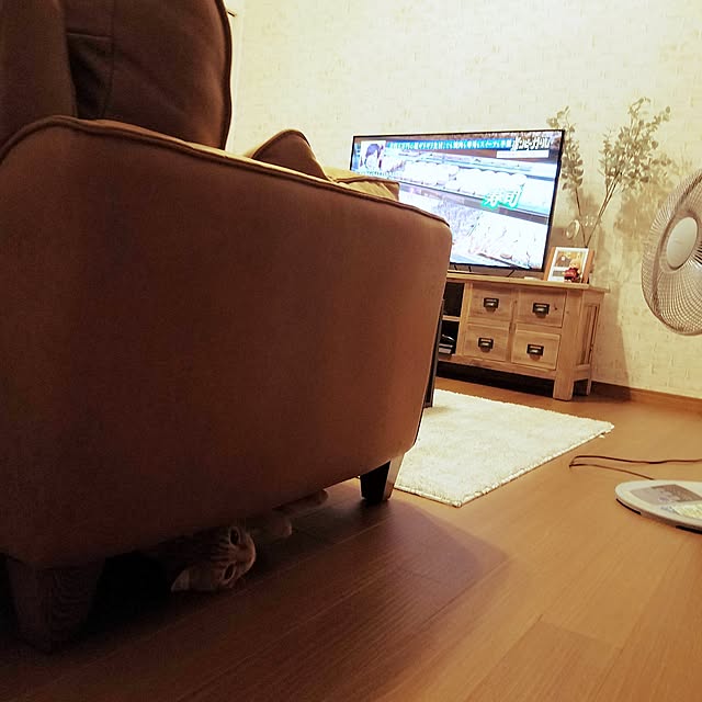 C.Tさんの実例写真
