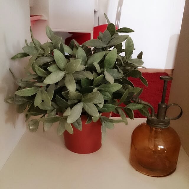 kazehoshiさんの実例写真