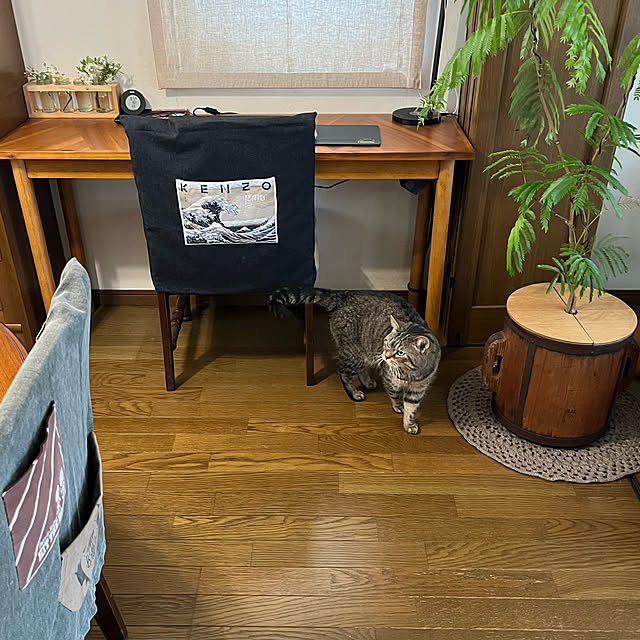 kuuさんの実例写真