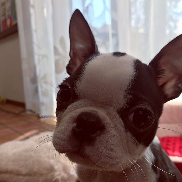 wstqd614さんの実例写真