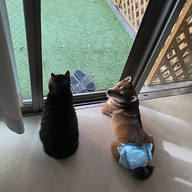 nocomomさんの部屋