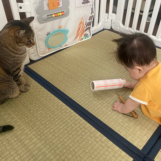 mikomaruさんの実例写真