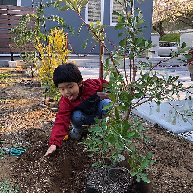 poa.t_hさんの実例写真