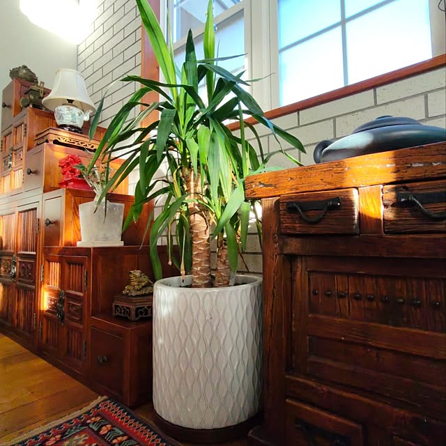 RENKAさんの実例写真