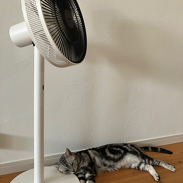 wahahaさんの部屋