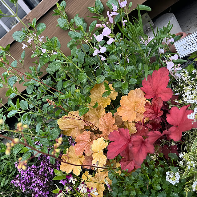 nishimiさんの実例写真