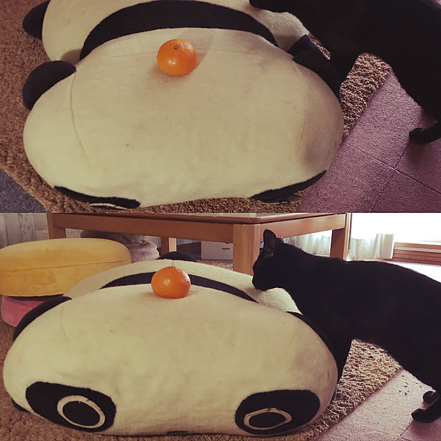 julyさんの実例写真