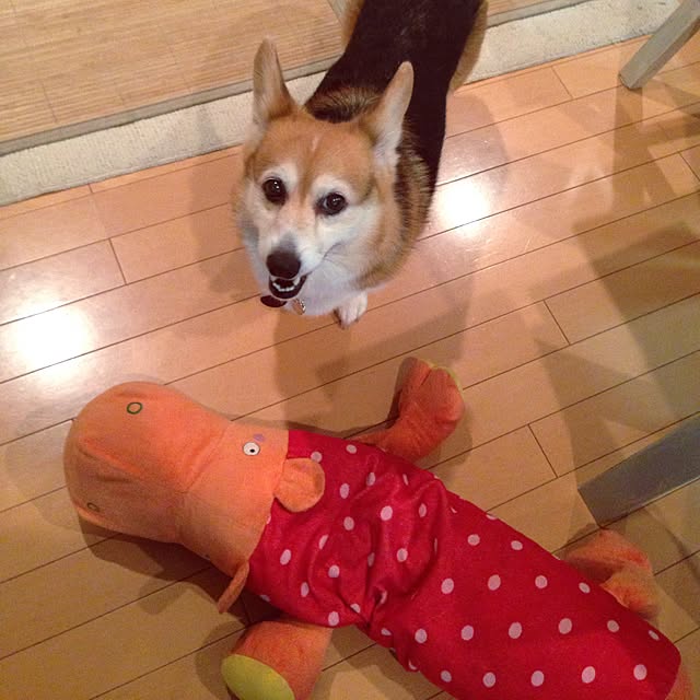 kumiさんの実例写真