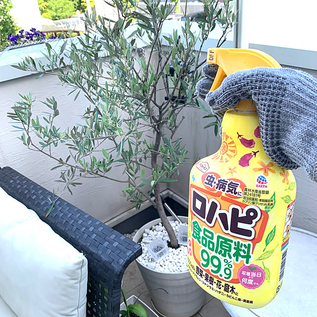 Tinoさんの実例写真