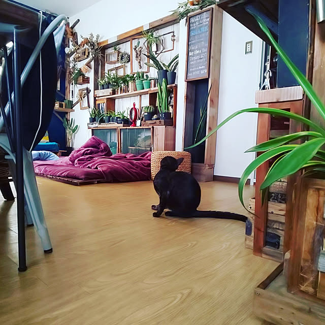 ugさんの実例写真