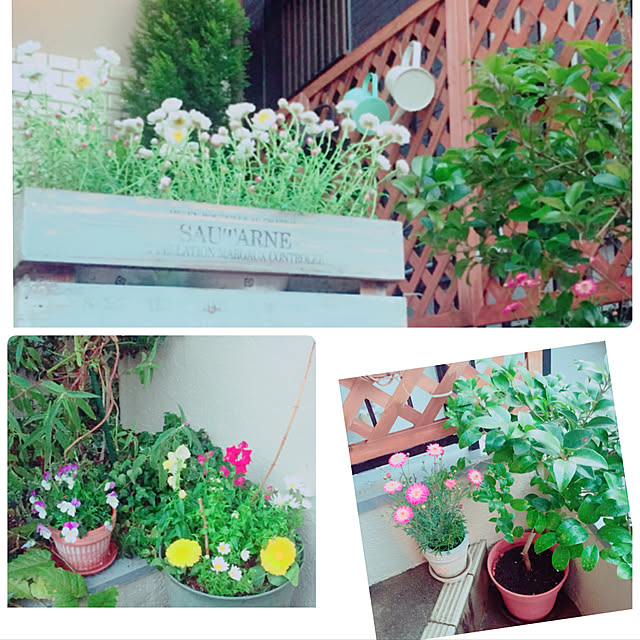 asa.homeさんの実例写真