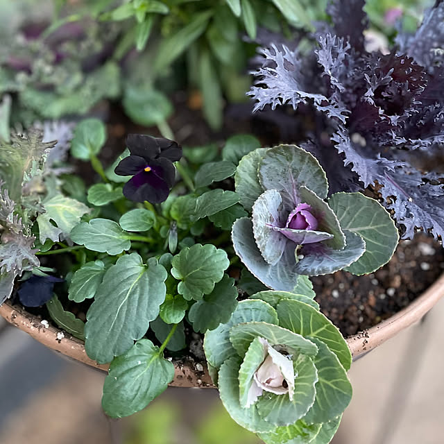 buchiさんの部屋