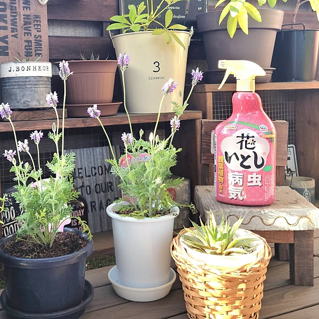 lovepeaceさんの部屋