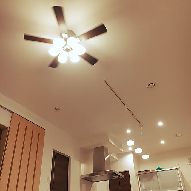 190210/ダウンライト 調光 LED/シーリングファンライト/天井/壁/天井のインテリア実例 - 2019-02-10 21:10:54
