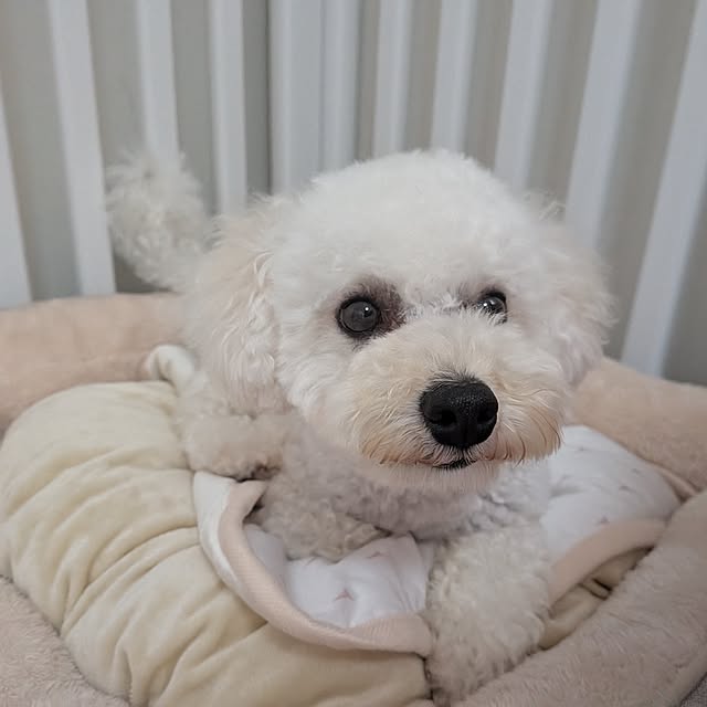 miyukiさんの部屋