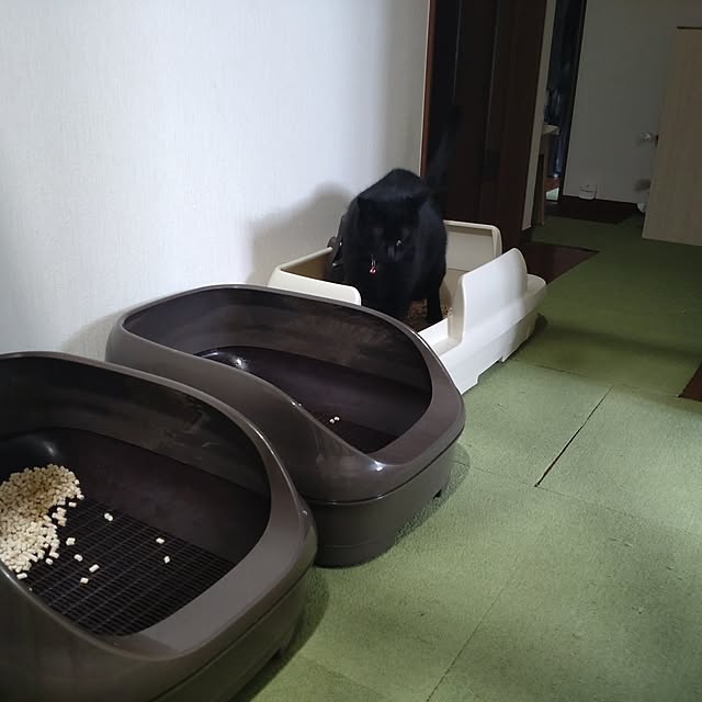 mntcさんの部屋