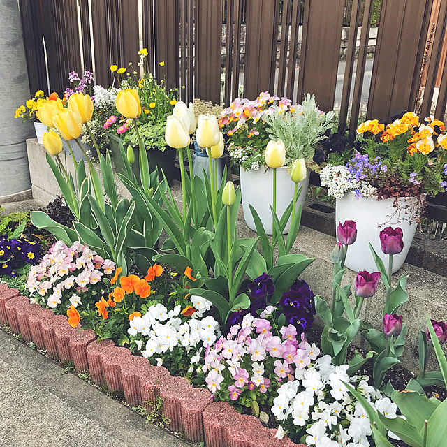 kirinchanさんの実例写真