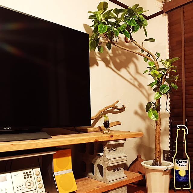 Yoshiさんの実例写真