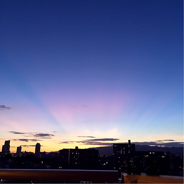simple_blowbackさんの実例写真