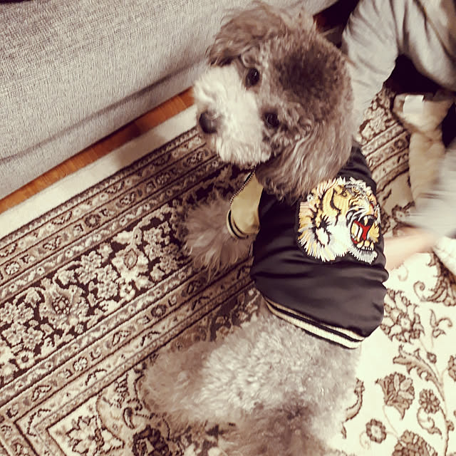 matthewさんの実例写真