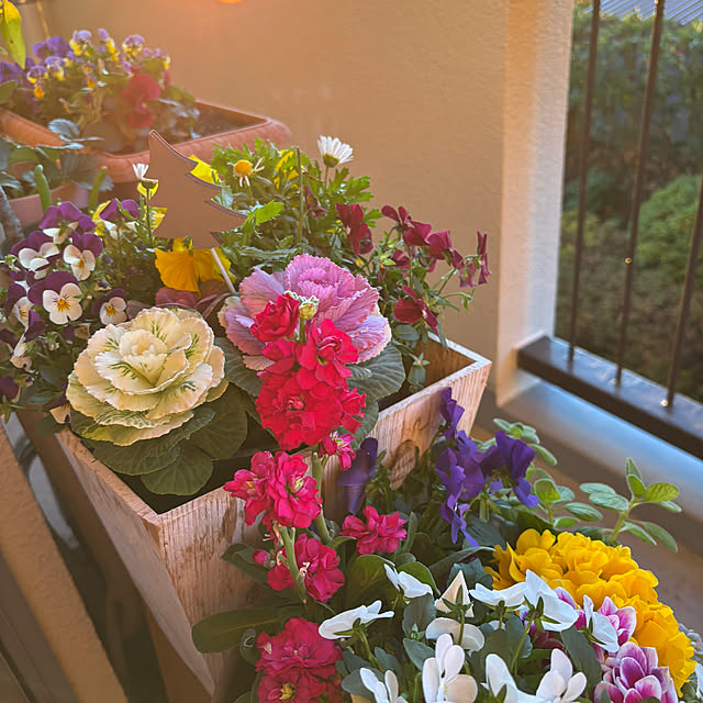 syutmmさんの部屋