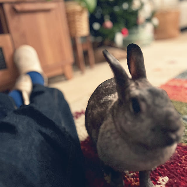 hirariさんの部屋