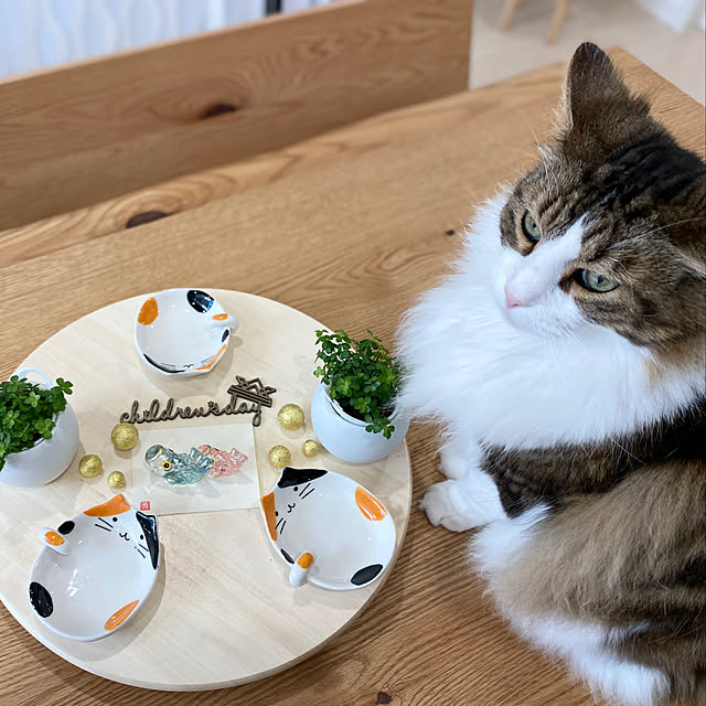 furitamaさんの実例写真