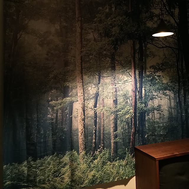 mASaYoukiさんの実例写真